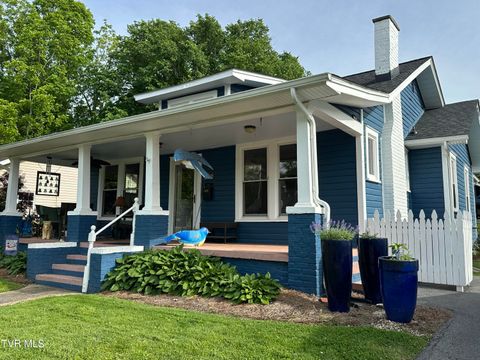 Photo of 1045 Catawba Street, Kingsport, TN 37660 (MLS # 9994901)
