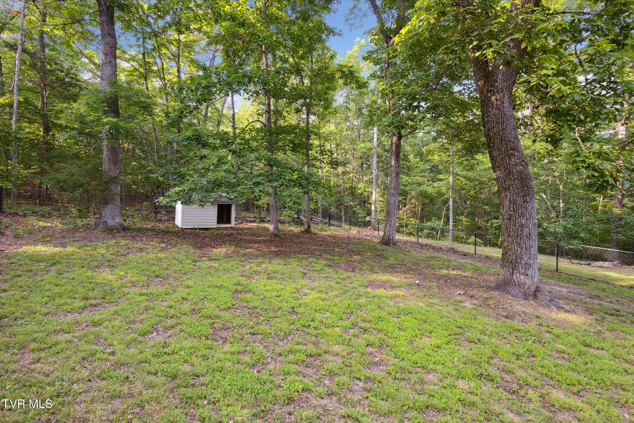 9245 Mendota Road, Mendota, Virginia image 28