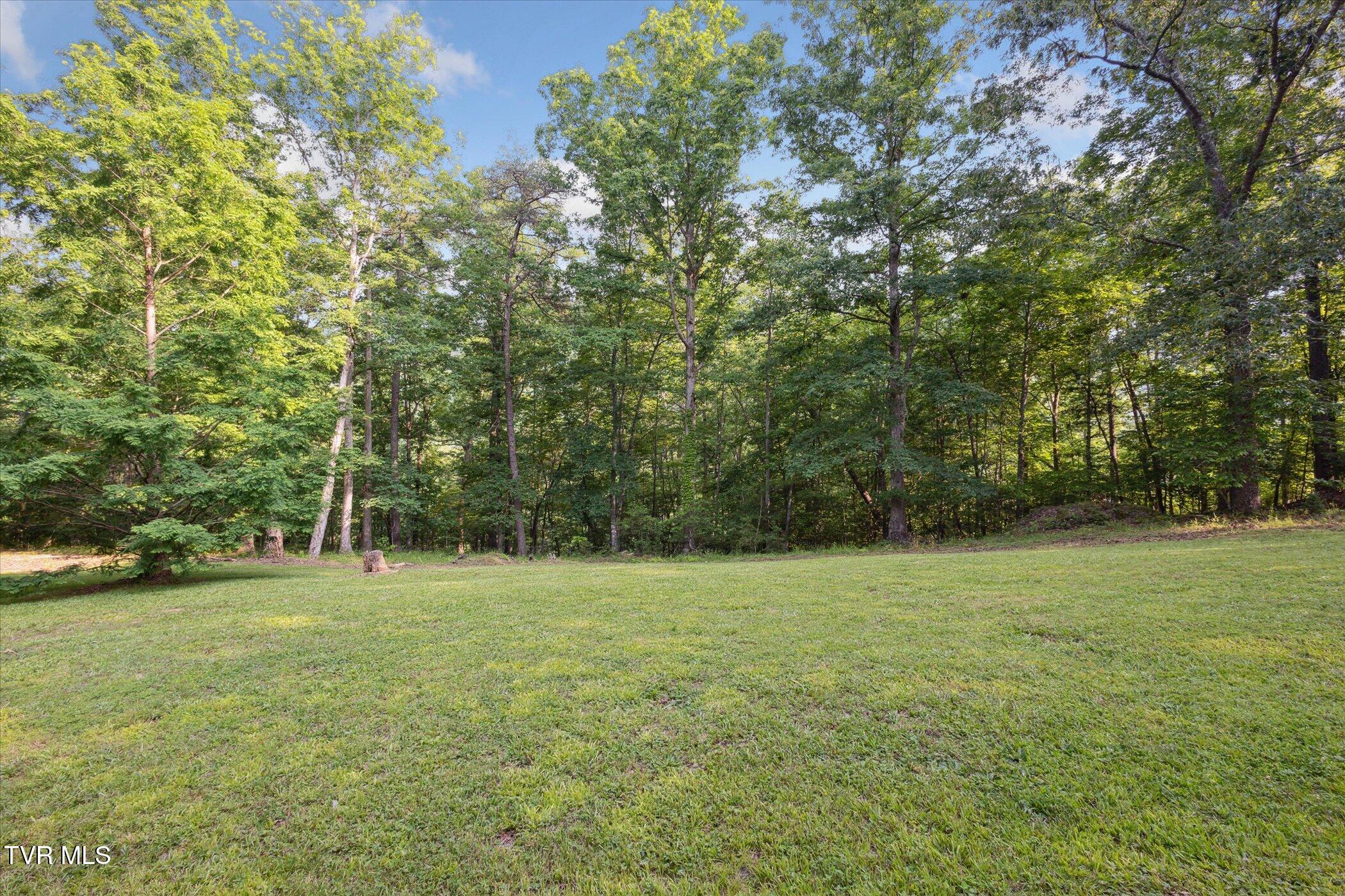 9245 Mendota Road, Mendota, Virginia image 27