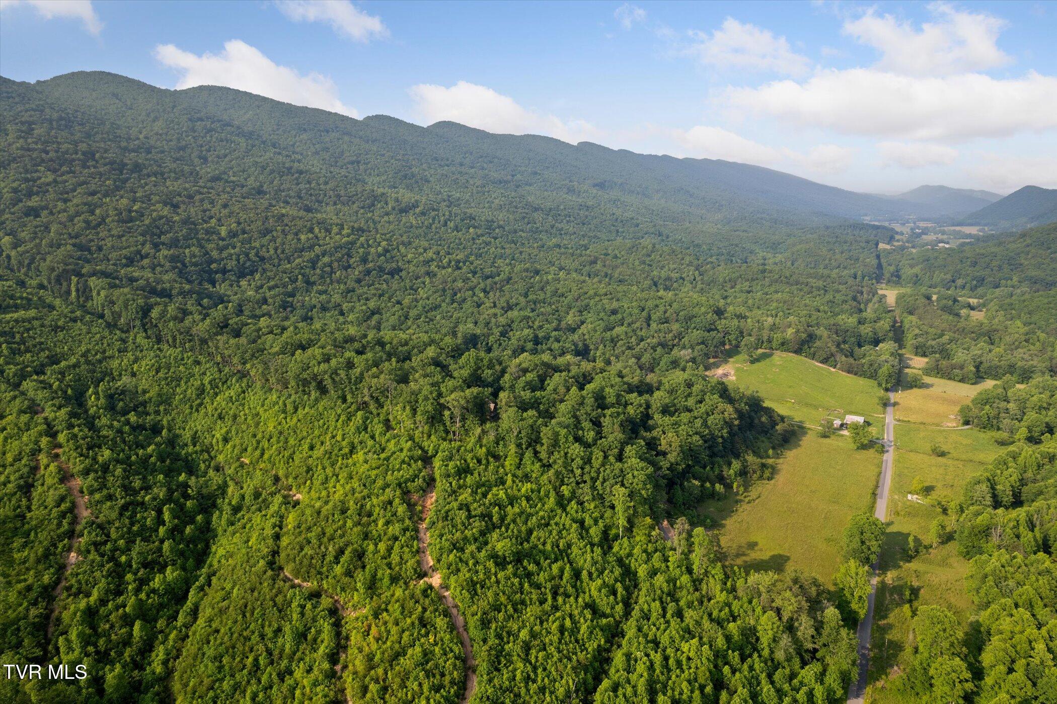 9245 Mendota Road, Mendota, Virginia image 34