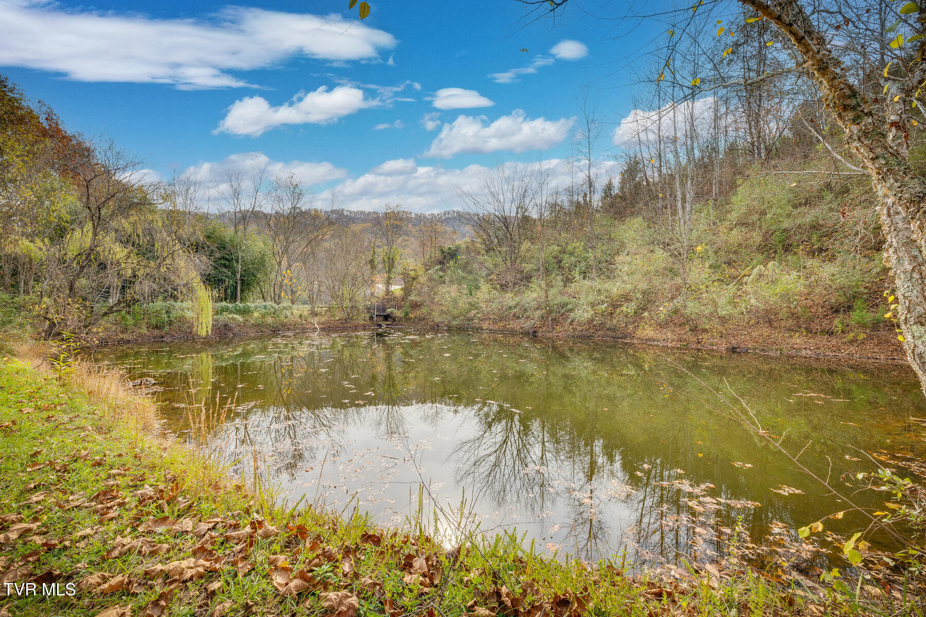 1424 Goshen Valley Road, Church Hill, Tennessee image 42