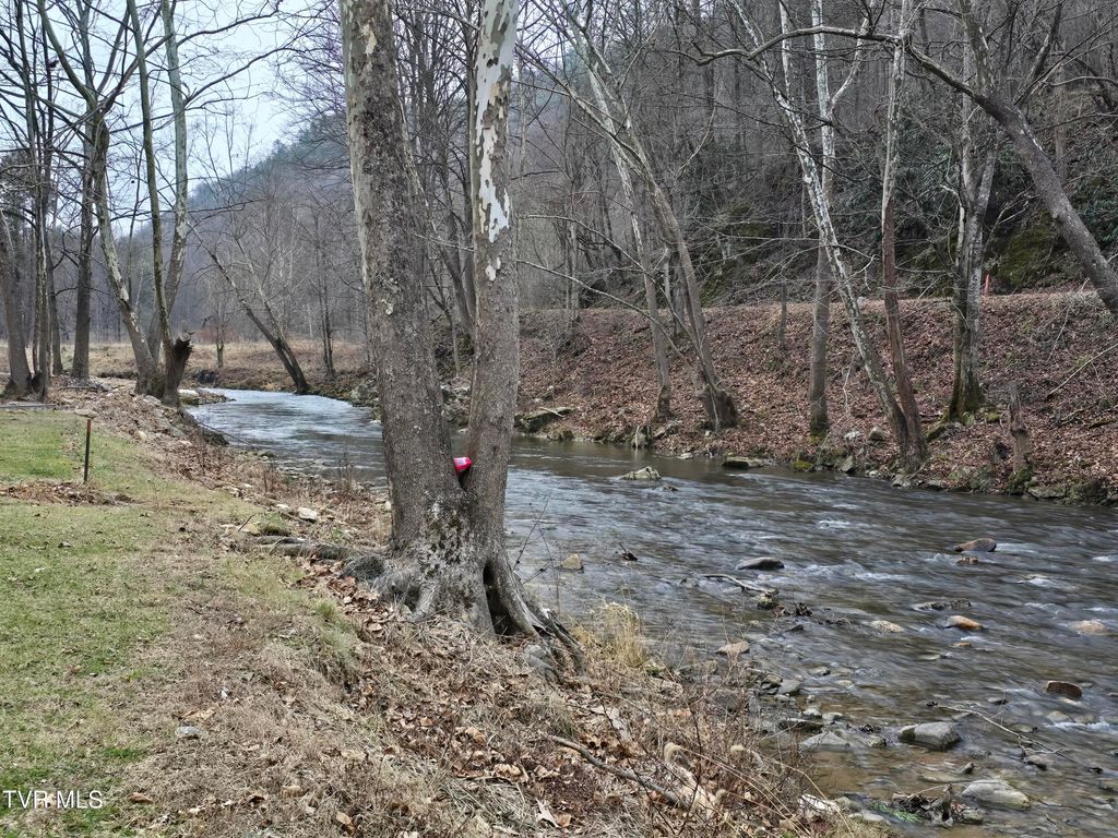 Photo of 7589 Roan Creek Road, Butler, TN 37640 (MLS # 9990158)