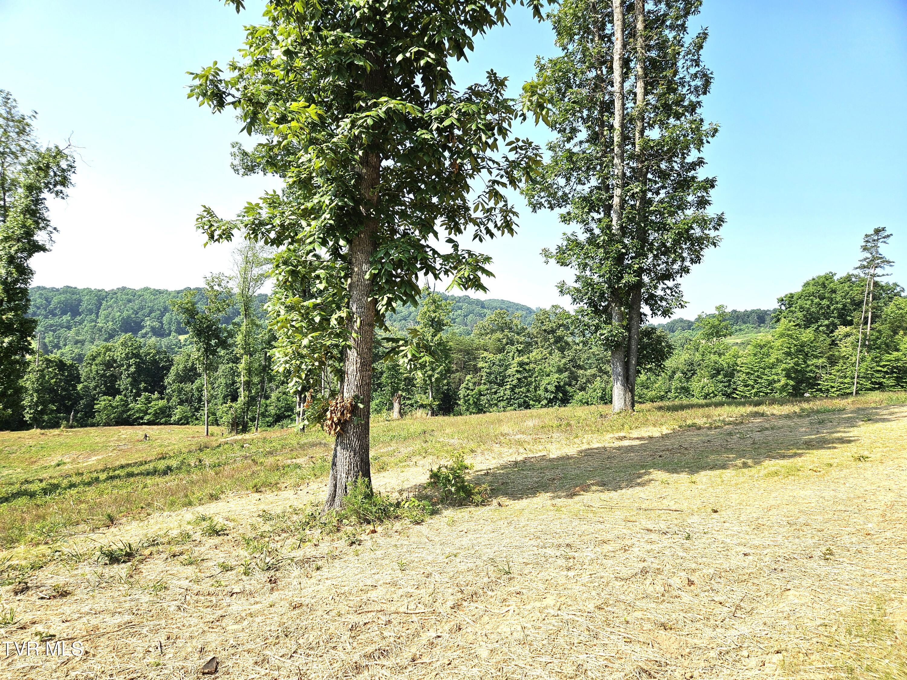368 Oak Grove Road, Rogersville, Tennessee image 37
