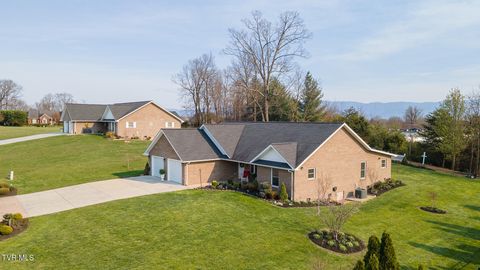 Photo of 410 Garden Meadow Drive, Greeneville, TN 37745 (MLS # 9992966)