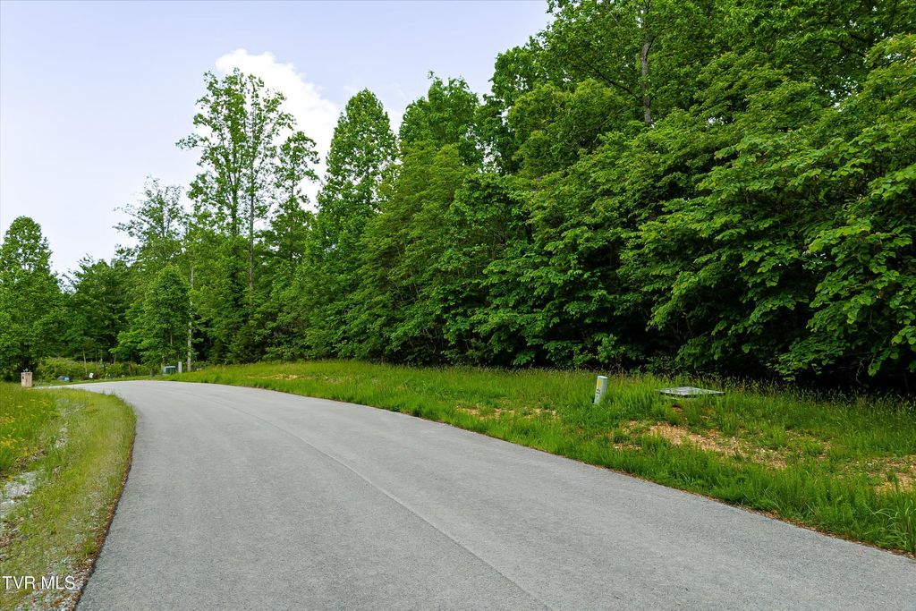 Photo of 240 Tanzanite Trail, New Tazewell, TN 37825 (MLS # 9980594)