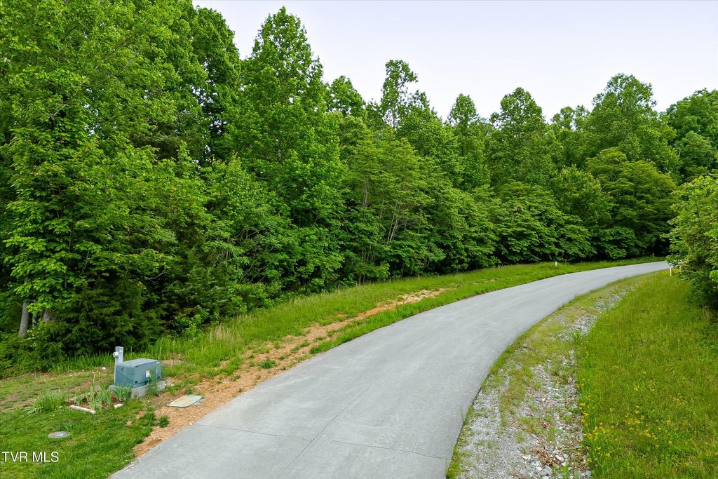 Photo of 240 Tanzanite Trail, New Tazewell, TN 37825 (MLS # 9980594)