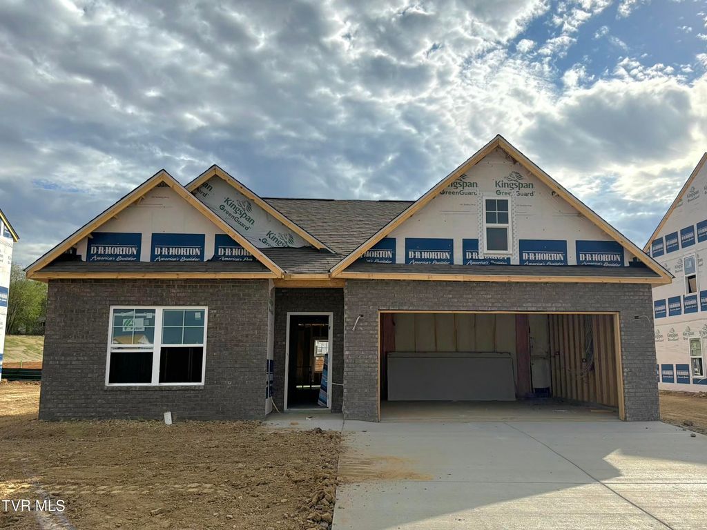 Photo of 56 Ollie Street St, Johnson City, TN 37615 (MLS # 9991551)