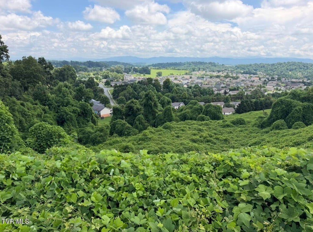 Photo of 752 Birds Eye View, Jonesborough, TN 37659 (MLS # 9999077)