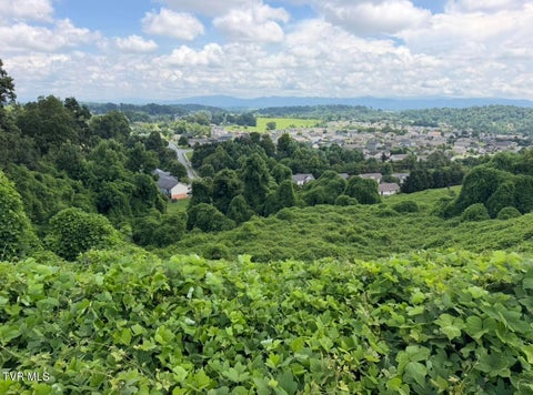 Vacant Land For Sale - 752 Birds Eye View<br/> Jonesborough, TN 37659