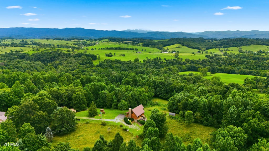 Photo of 16185 Pocahontas Trail, Meadowview, VA 24361 (MLS # 10001102)
