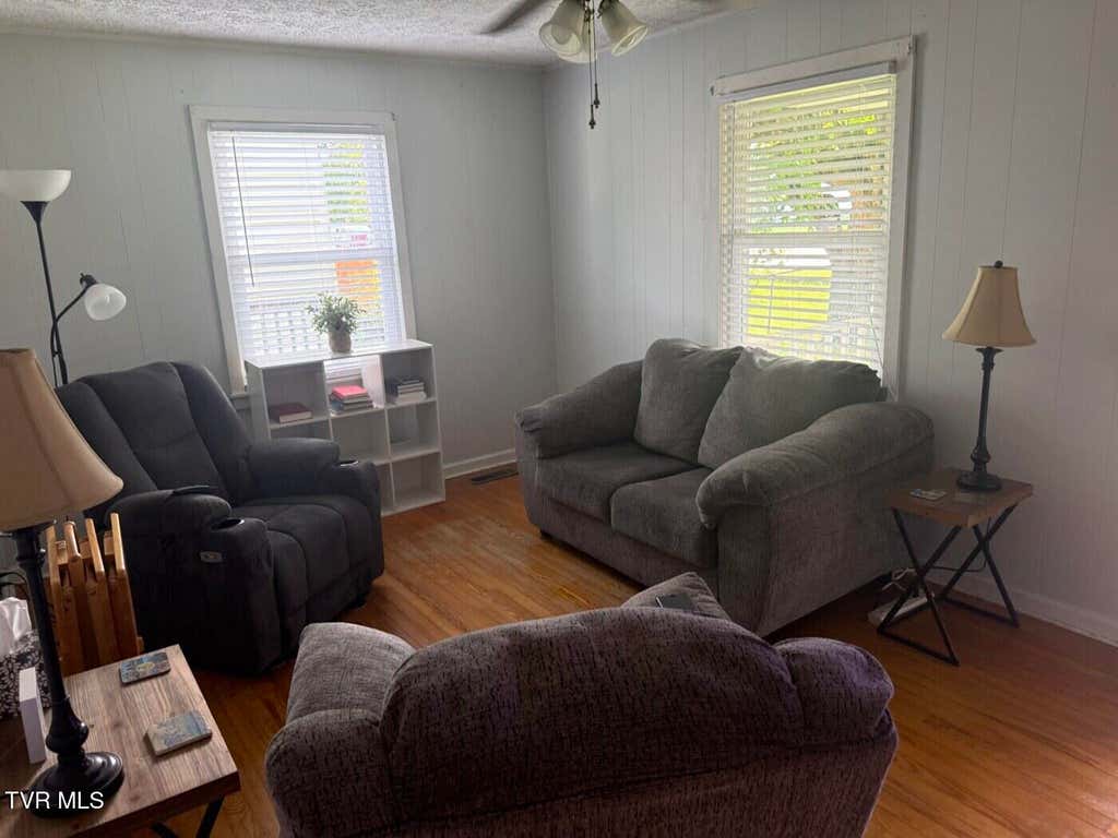 Photo of 301 Dyer Street, Johnson City, TN 37601 (MLS # 9999613)