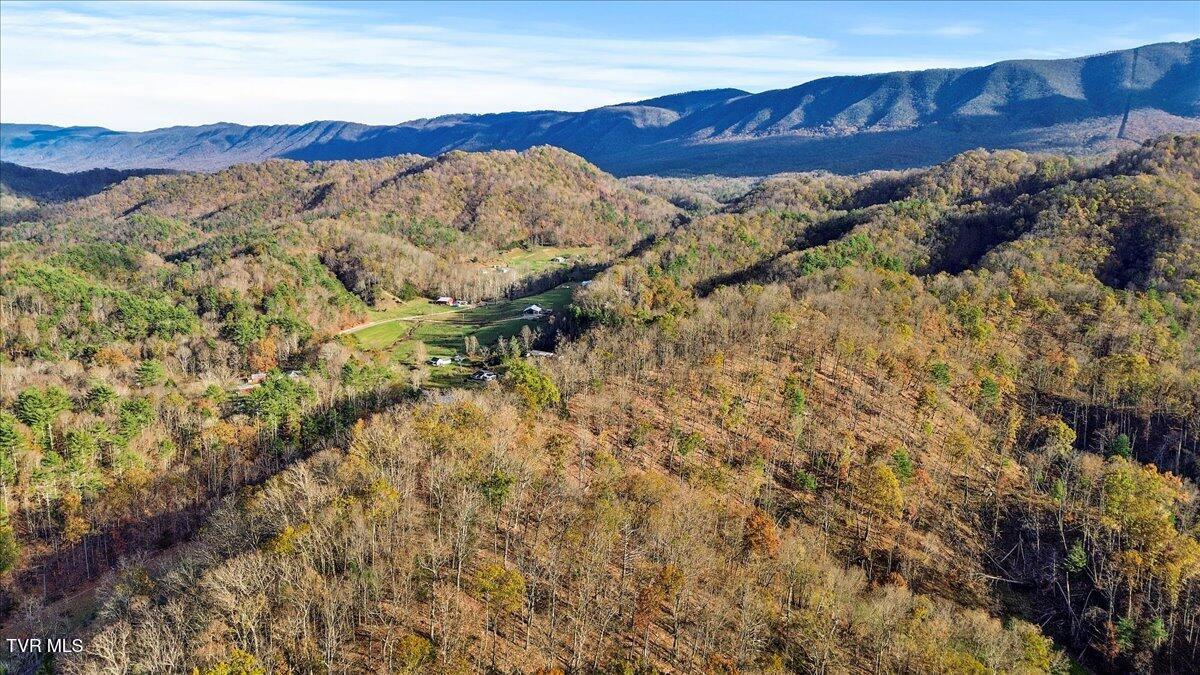 Tbd Morrell Creek Road, Bluff City, Tennessee image 15