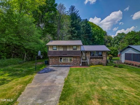 Photo of 156 Warrior Lane, Johnson City, TN 37601 (MLS # 9994433)