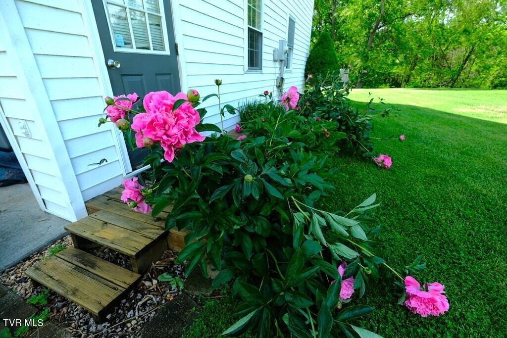26145 Watauga Road, Abingdon, Virginia image 20