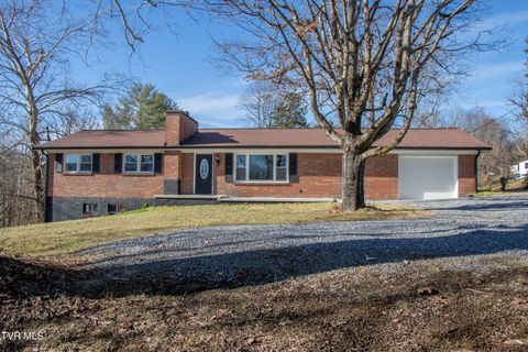 Homes For Sale - 334 Sinking Springs Road<br/> Bristol, TN 37620