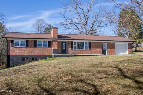 Photo of 334 Sinking Springs Road, Bristol, TN 37620 (MLS # 9988841)