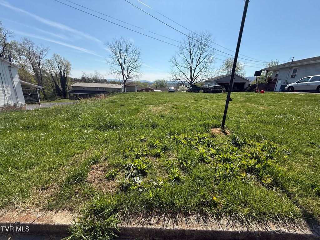 Photo of 513 Stanley Avenue, Johnson City, TN 37604 (MLS # 9993605)