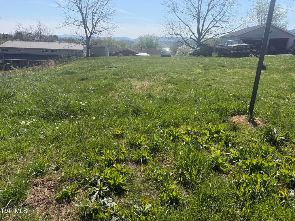 Photo of 513 Stanley Avenue, Johnson City, TN 37604 (MLS # 9993605)