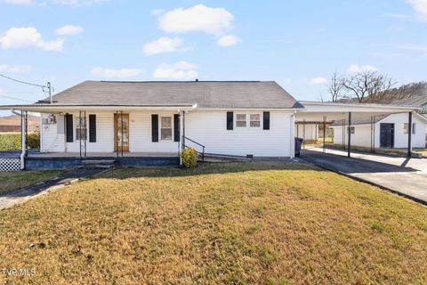Photo of 102 Sycamore And 602 Monroe Street, Erwin, TN 37650 (MLS # 9988334)