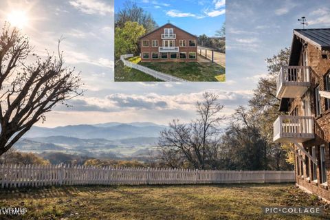 449 Chuckey Overlook Chuckey TN 37641