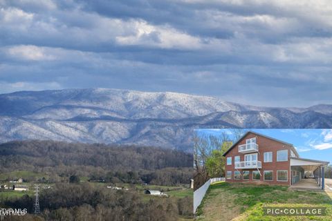Photo of 449 Chuckey Overlook, Chuckey, TN 37641 (MLS # 9992942)