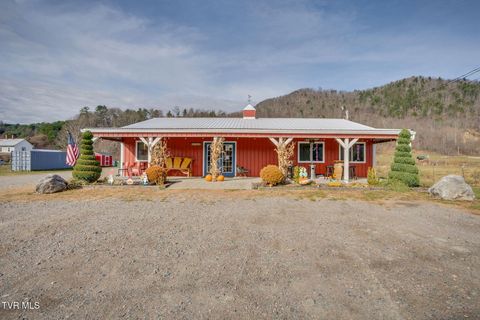 4020 Roan Creek Road 2 Mountain City TN 37683