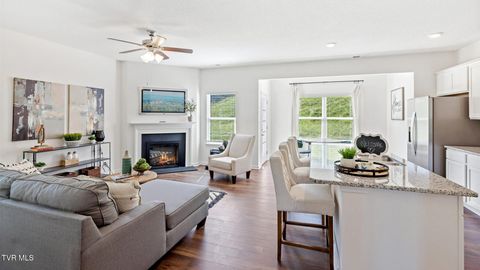 Tiny photo for 1165 Aspen Terrace, Greeneville, TN 37745 (MLS # 9986388)