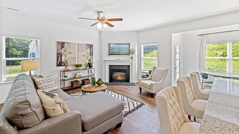 Tiny photo for 1165 Aspen Terrace, Greeneville, TN 37745 (MLS # 9986388)