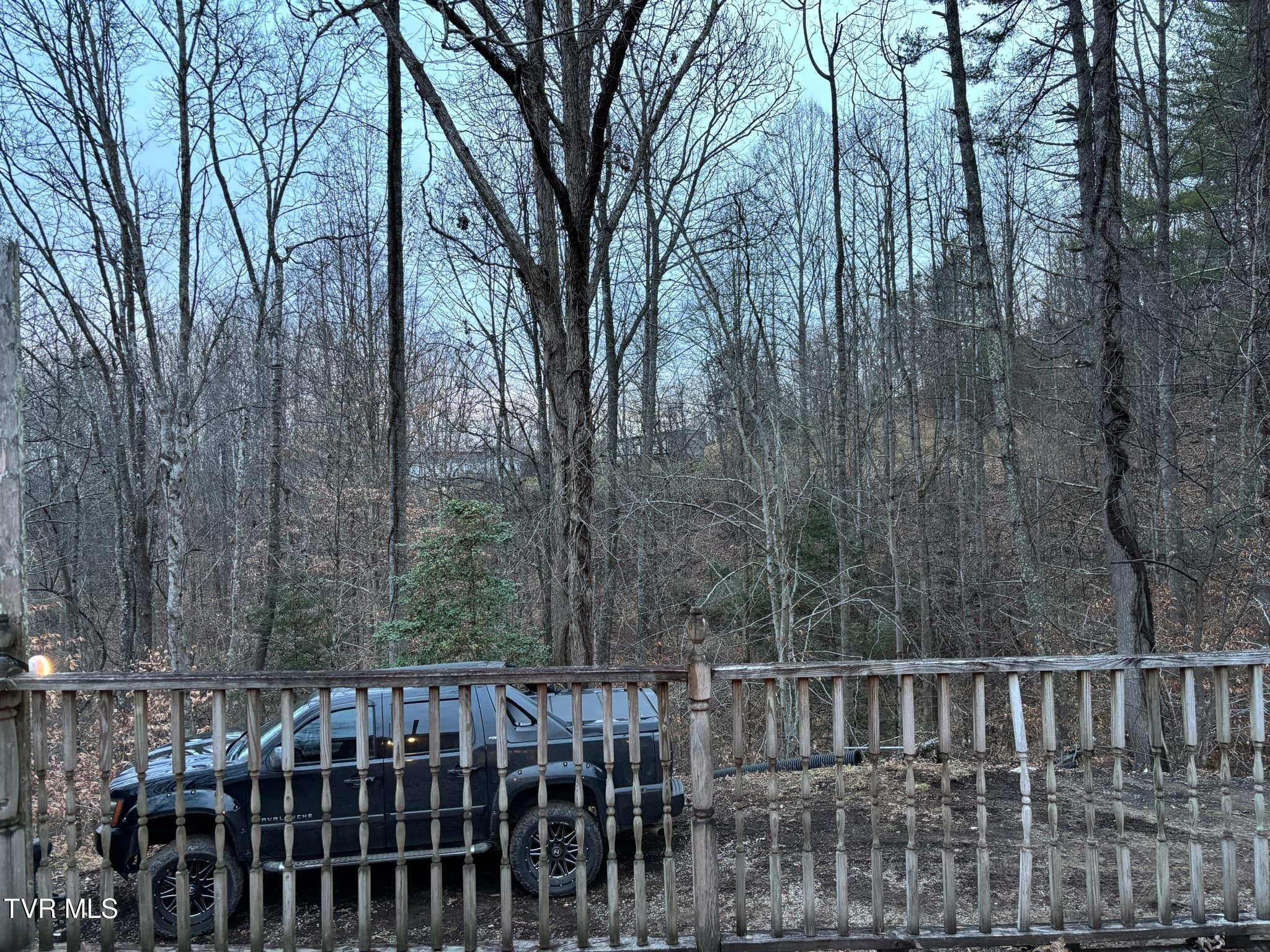 358 Wagon Trail Trail, Haysi, Virginia image 49