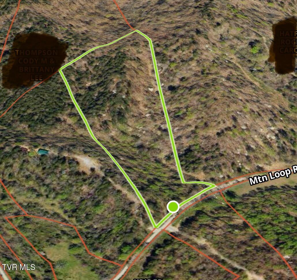 Tbd Mountain Loop Road, Thorn Hill, Tennessee image 6