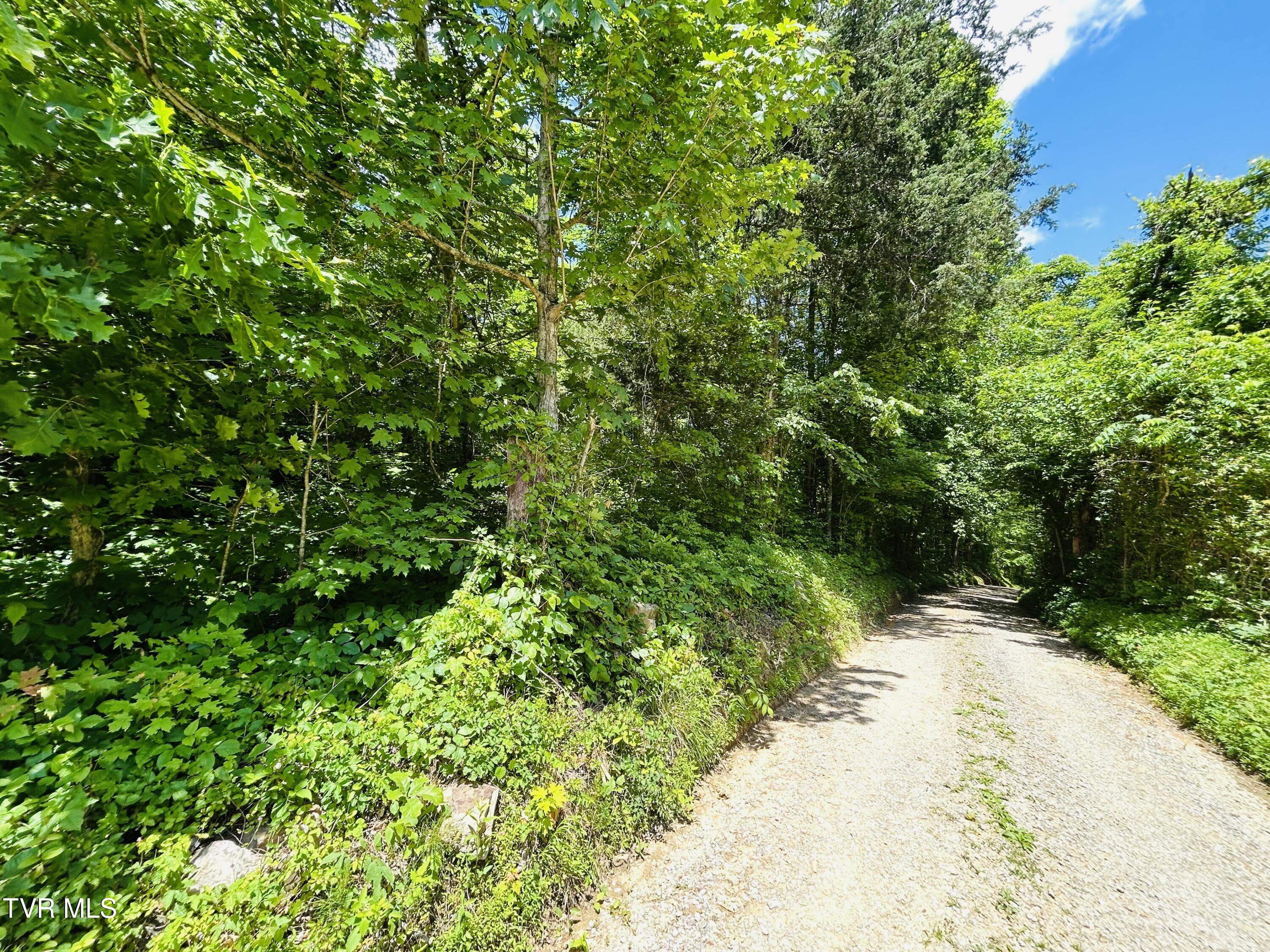 Tbd Mountain Loop Road, Thorn Hill, Tennessee image 13
