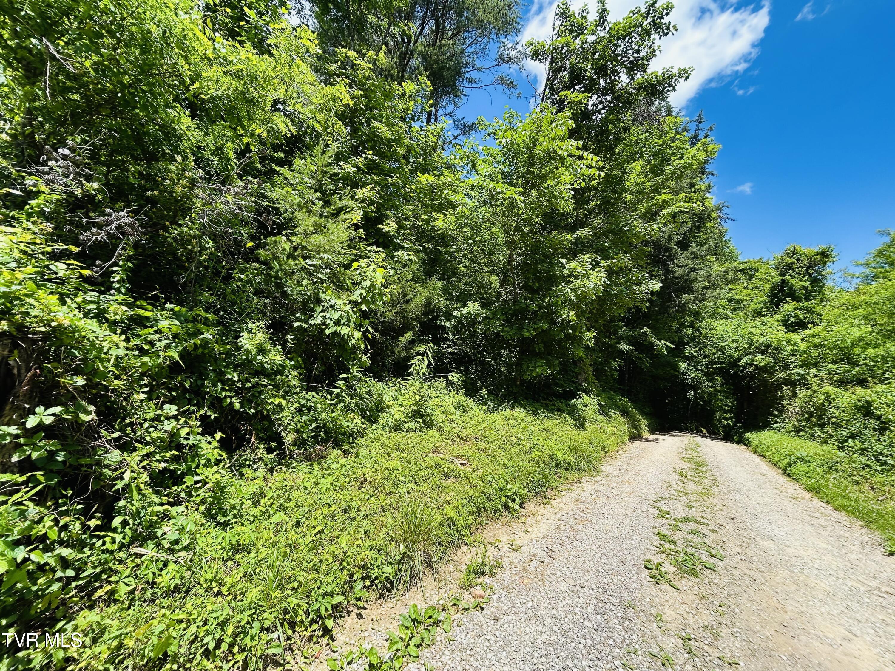 Tbd Mountain Loop Road, Thorn Hill, Tennessee image 9