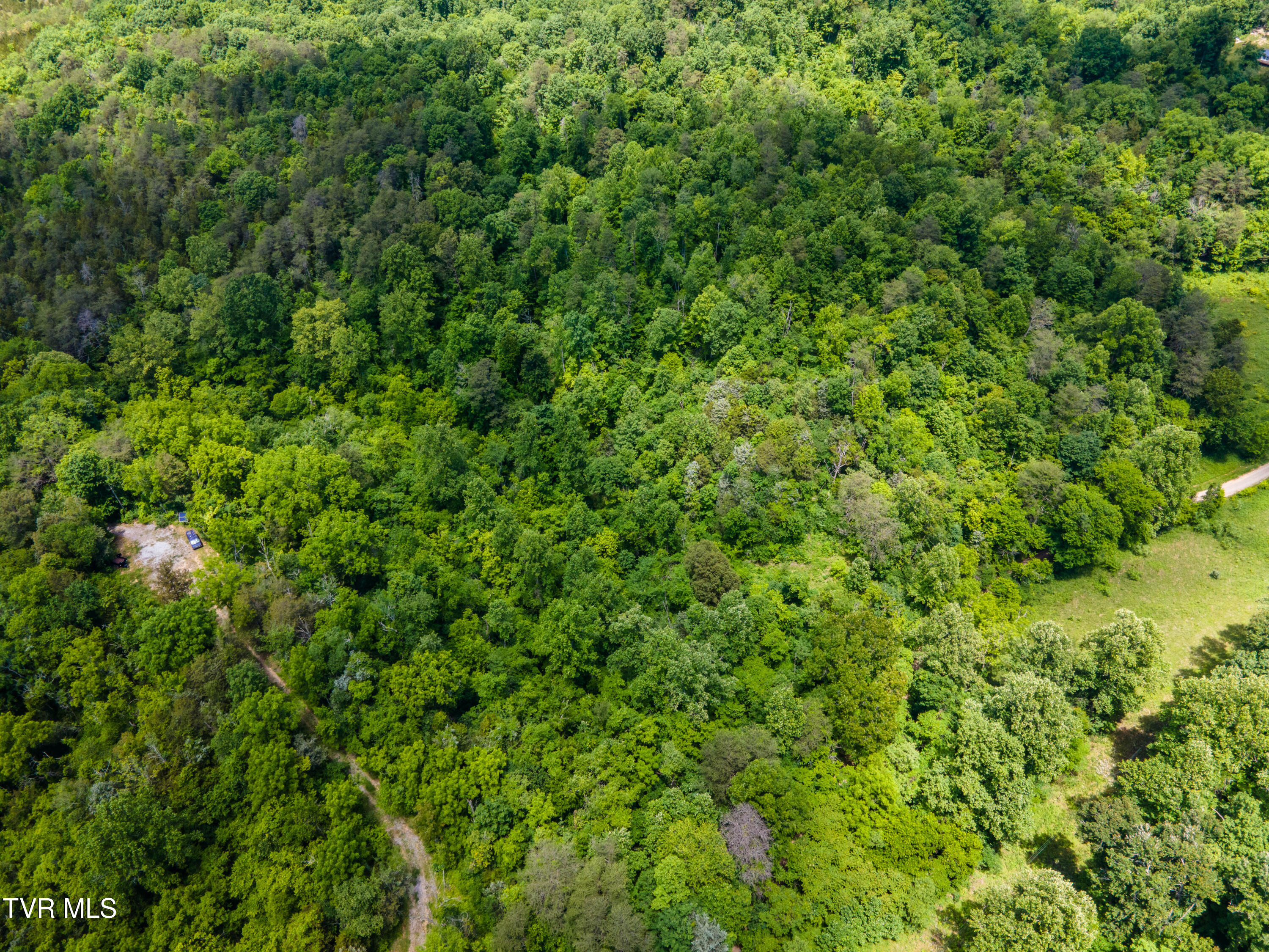 Tbd Mountain Loop Road, Thorn Hill, Tennessee image 3