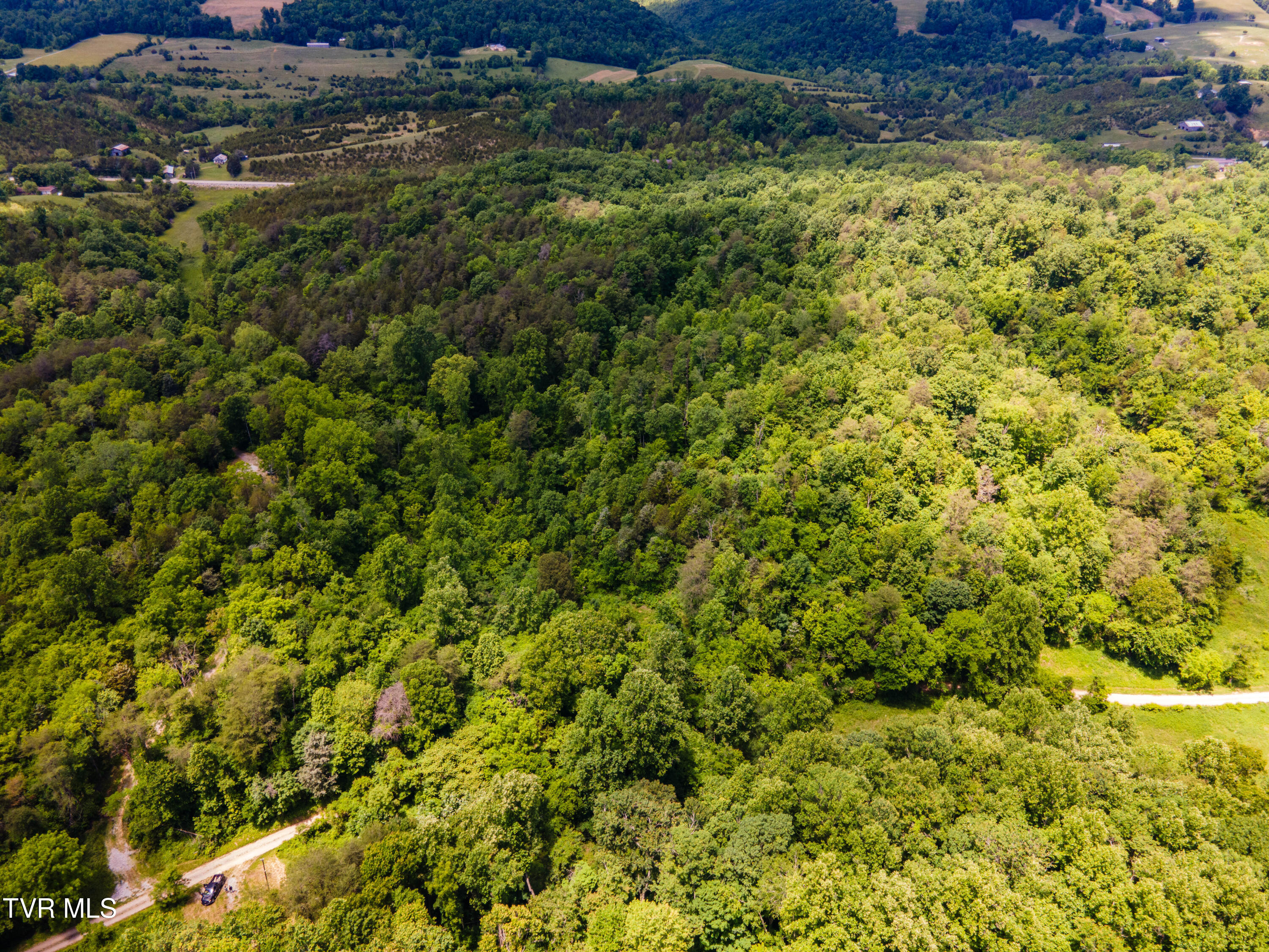 Tbd Mountain Loop Road, Thorn Hill, Tennessee image 12
