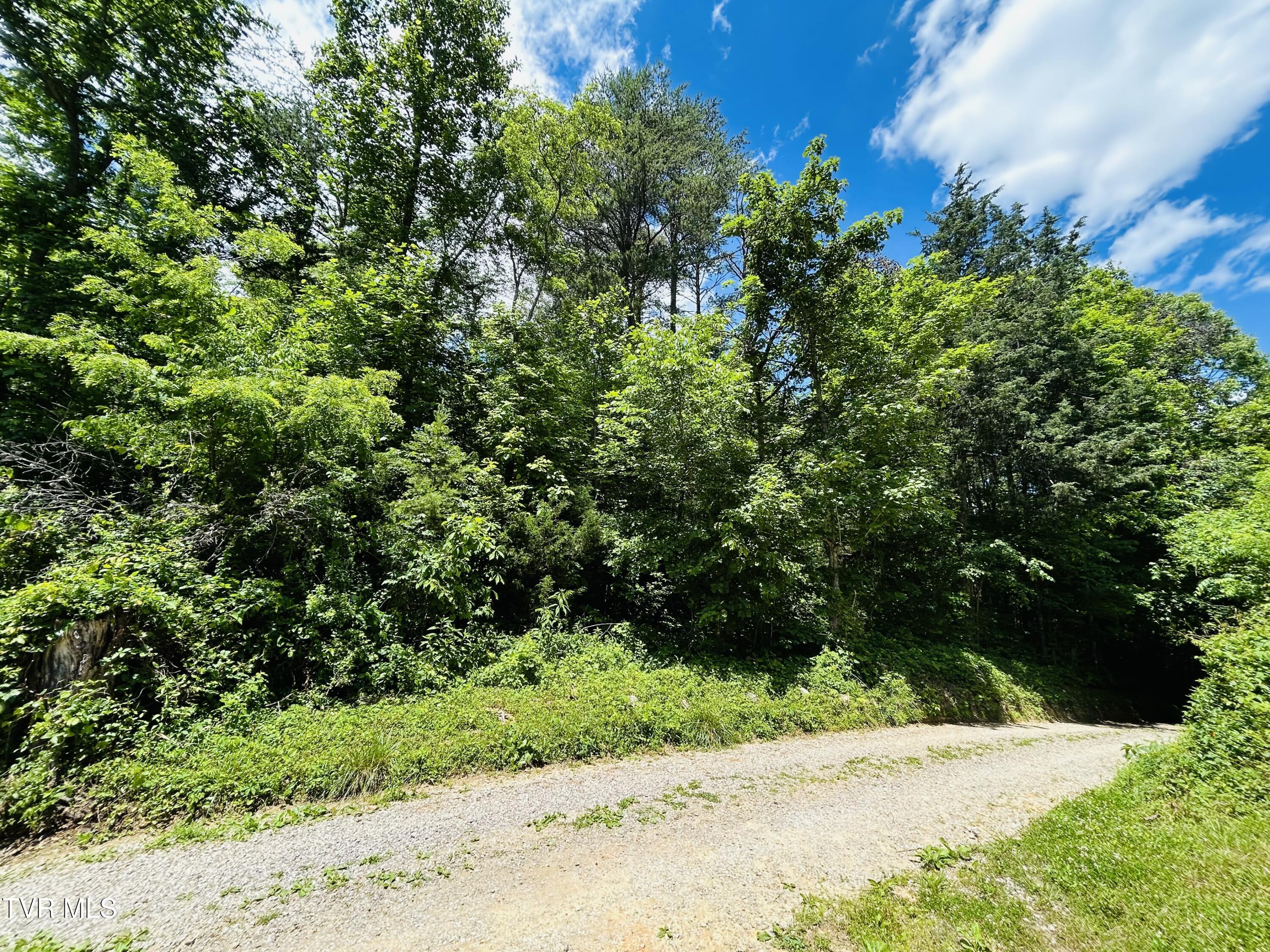 Tbd Mountain Loop Road, Thorn Hill, Tennessee image 10