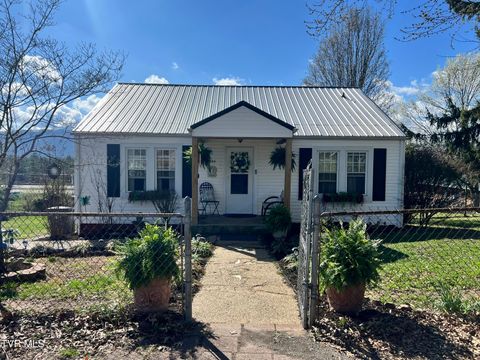 Homes For Sale - 424 Bay Street<br/> Mount Carmel, TN 37645