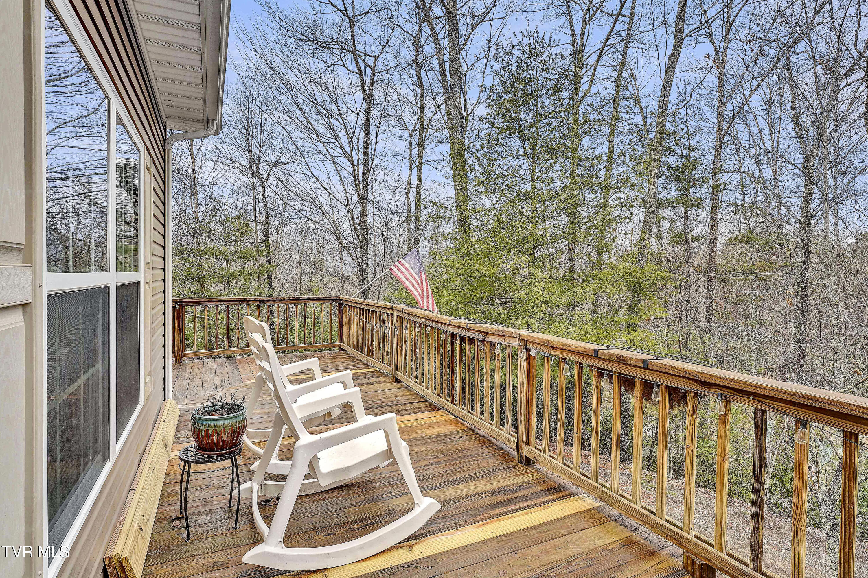 251 Ashtyn Private Lane, Mountain City, Tennessee image 46