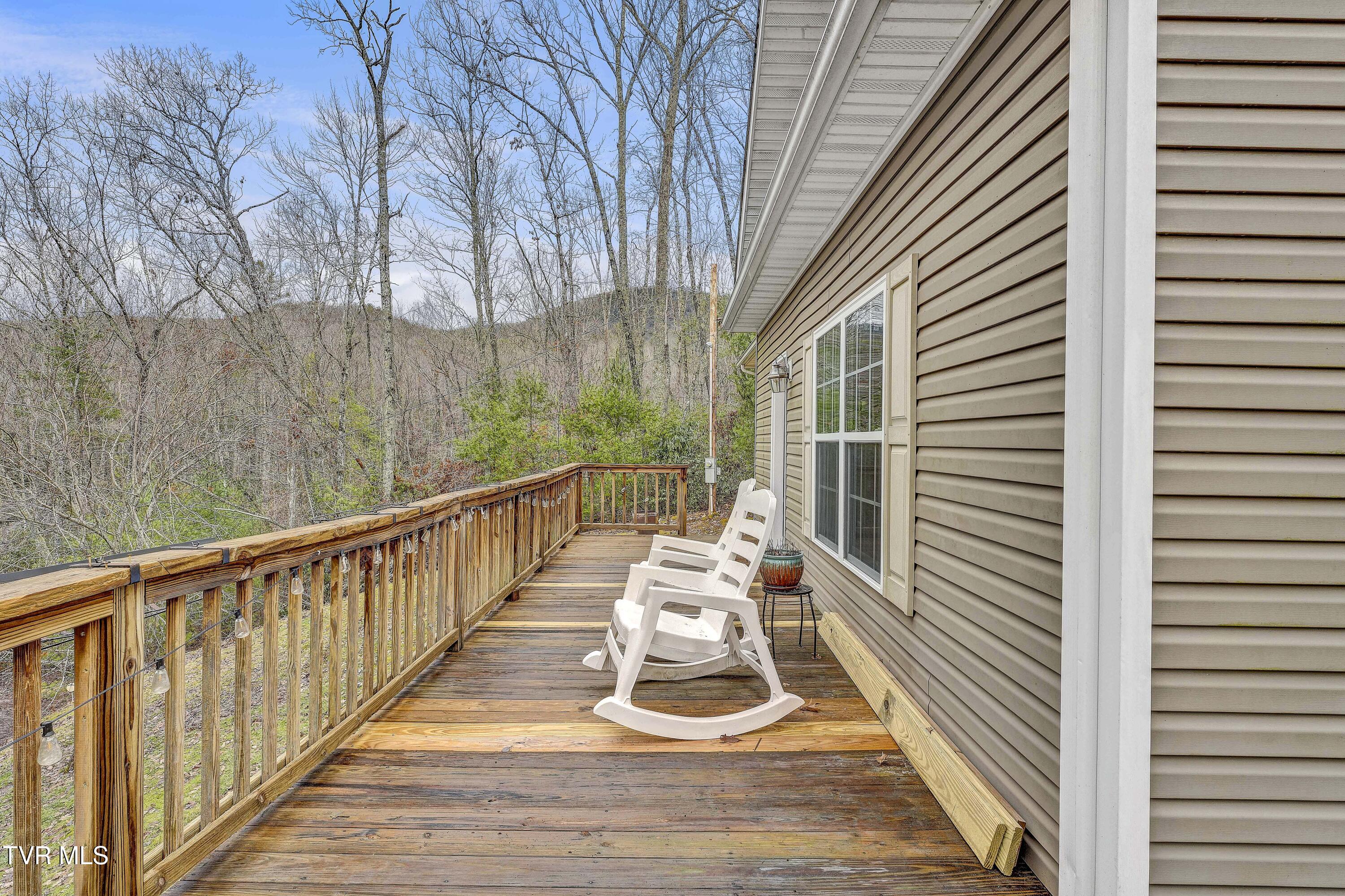 251 Ashtyn Private Lane, Mountain City, Tennessee image 45