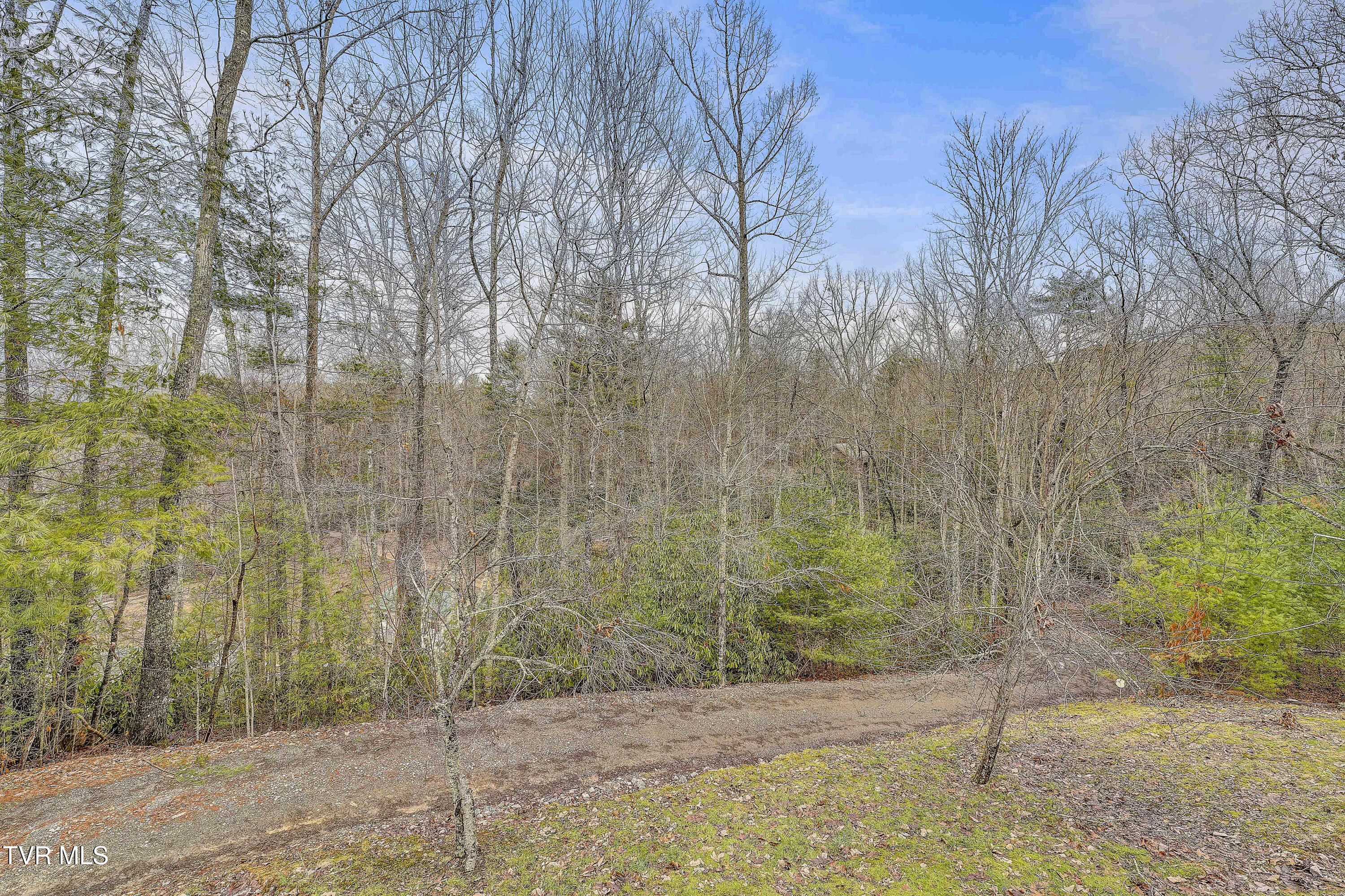 251 Ashtyn Private Lane, Mountain City, Tennessee image 48