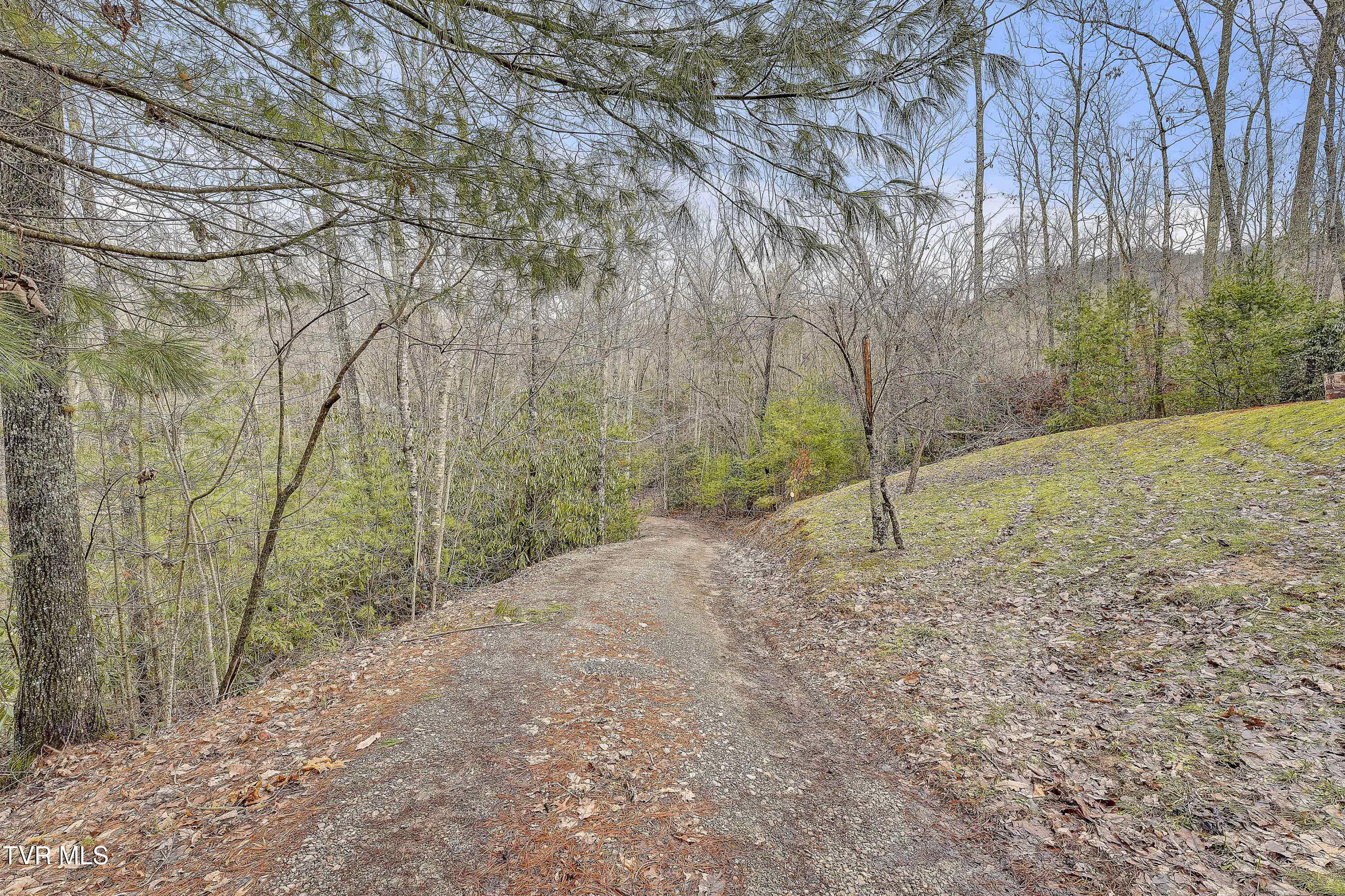 251 Ashtyn Private Lane, Mountain City, Tennessee image 47