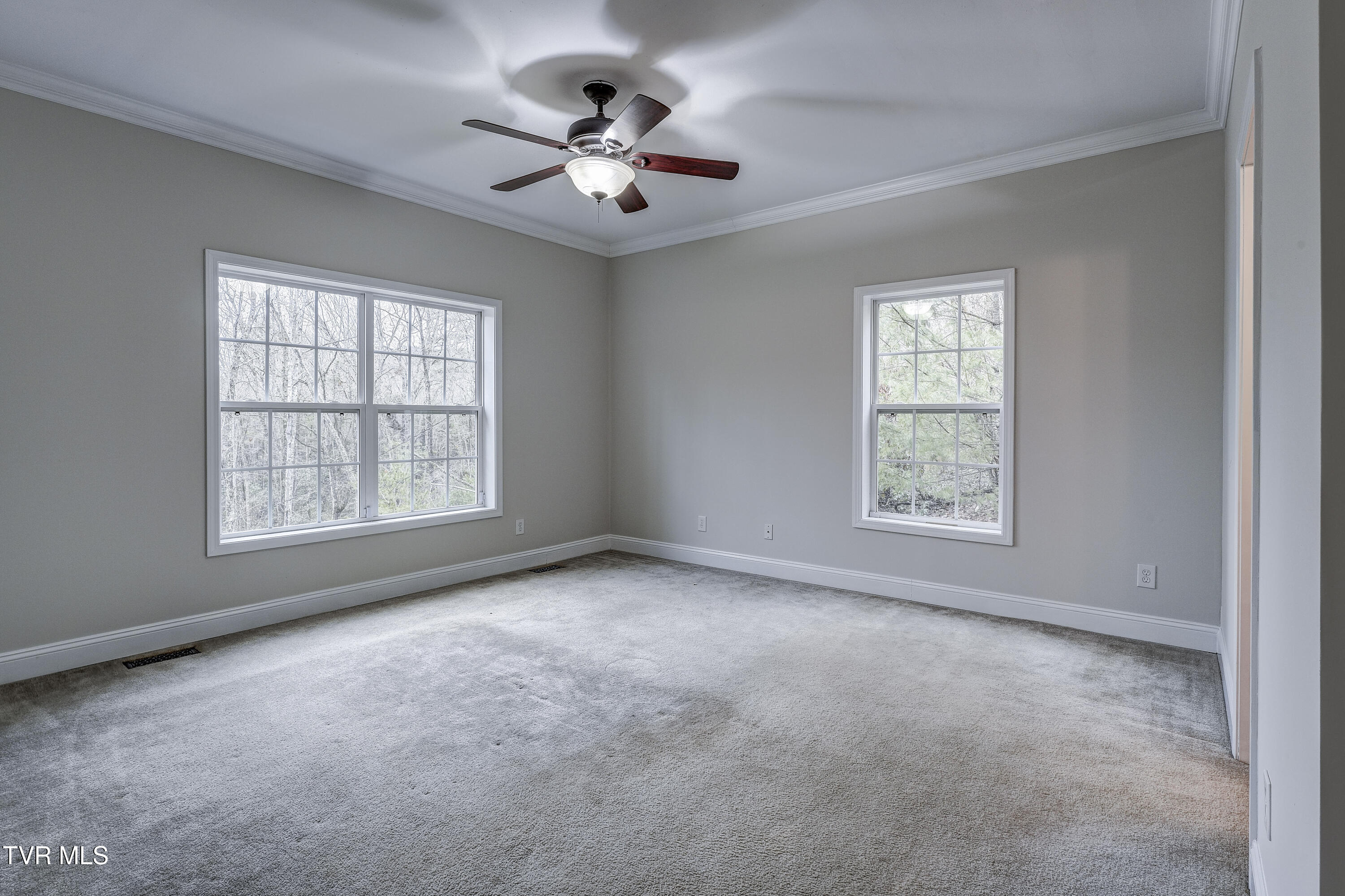 251 Ashtyn Private Lane, Mountain City, Tennessee image 19
