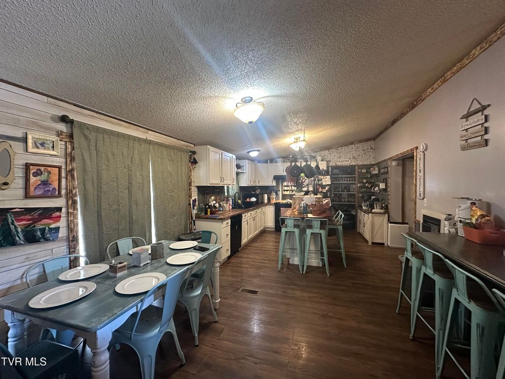 Photo of 165 Mcnabb Street, Newport, TN 37821 (MLS # 9992759)