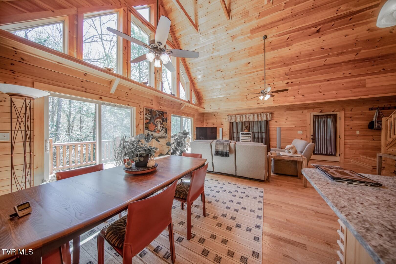 718 Rocky Flats Rd, Cosby, Tennessee image 12