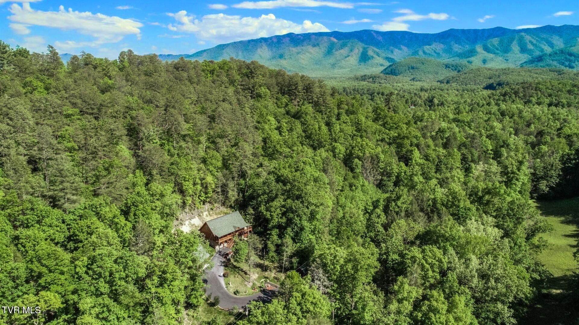 718 Rocky Flats Rd, Cosby, Tennessee image 45