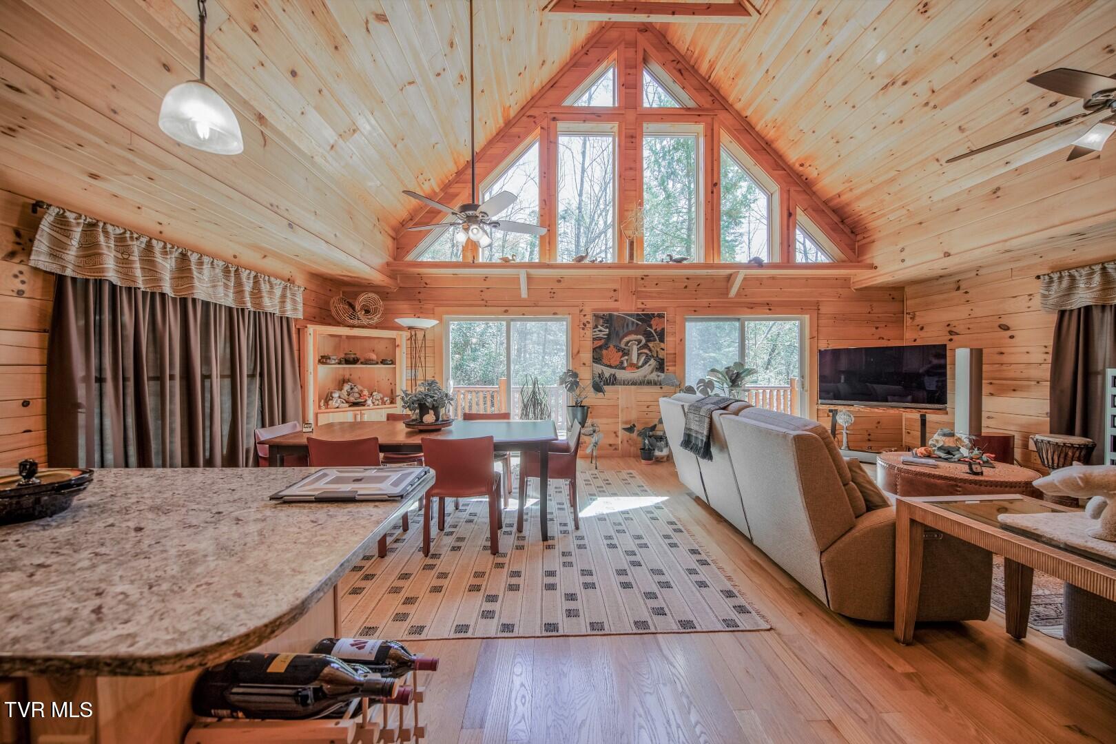 718 Rocky Flats Rd, Cosby, Tennessee image 8