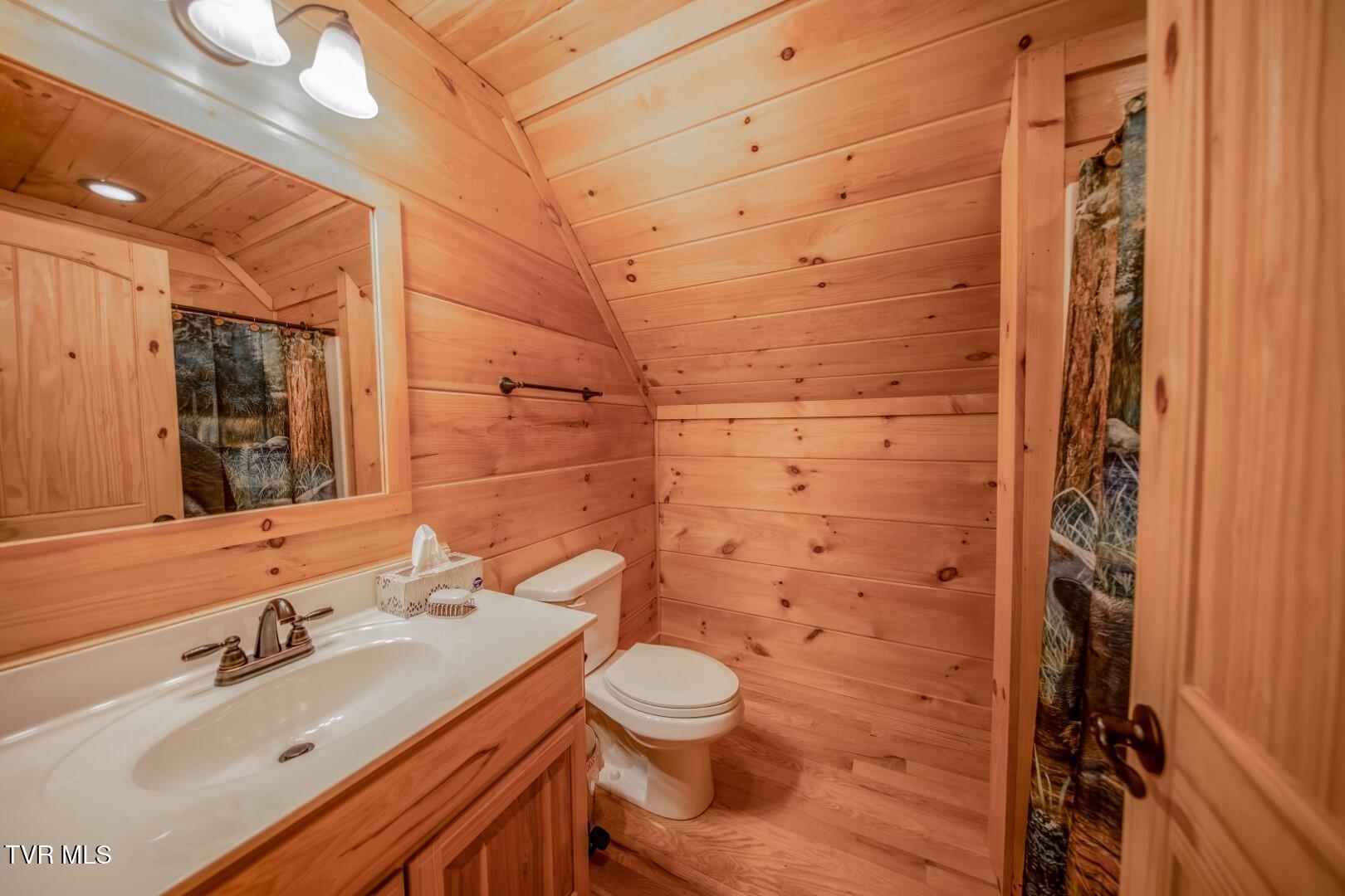 718 Rocky Flats Rd, Cosby, Tennessee image 26