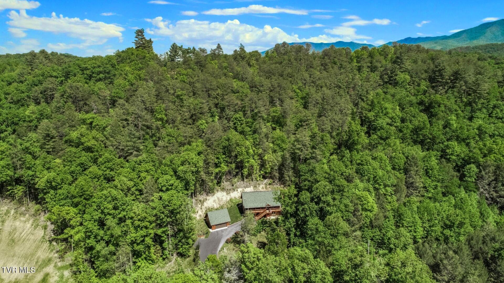 718 Rocky Flats Rd, Cosby, Tennessee image 43
