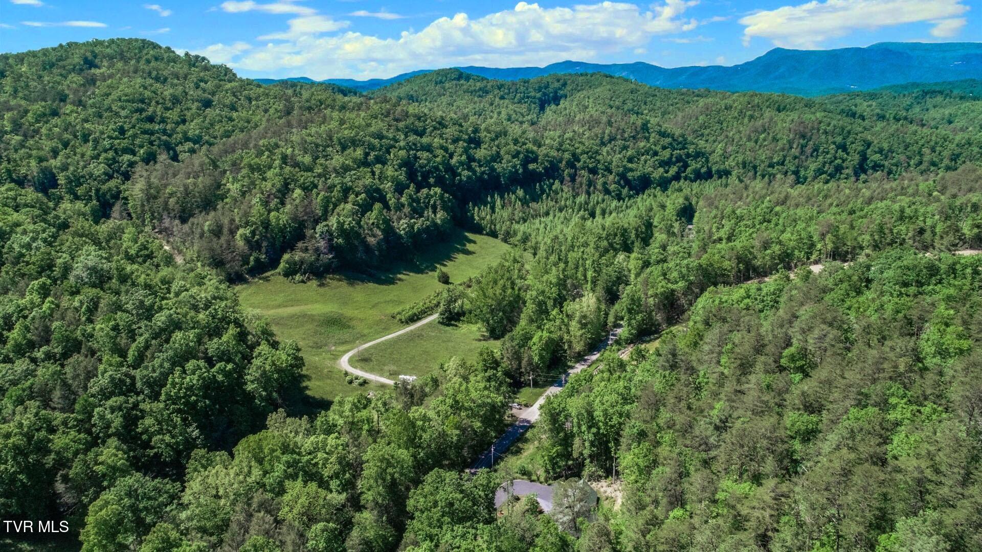 718 Rocky Flats Rd, Cosby, Tennessee image 44