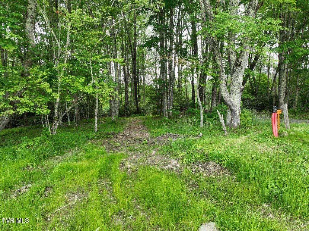 Photo of 1776 Ripshin Mountain Road, Roan Mountain, TN 37687 (MLS # 9992742)