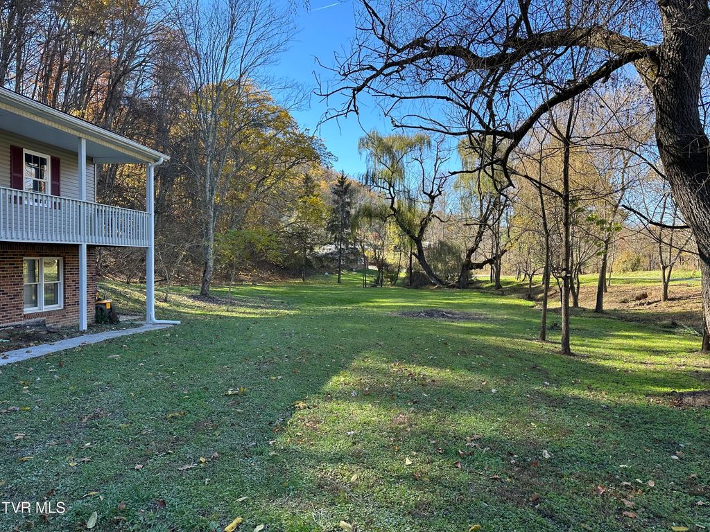 Photo of 29184 Tobias Drive, Meadowview, VA 24361 (MLS # 9988084)